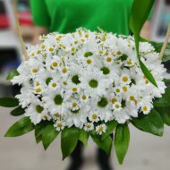 Корзина цветов «Хризантемы и ромашки»