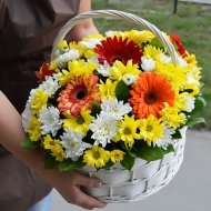 Корзина цветов «Герберы и хризантемы»