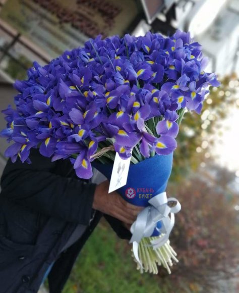 Букет 101 ирис заказать за 13 730 руб. с доставкой