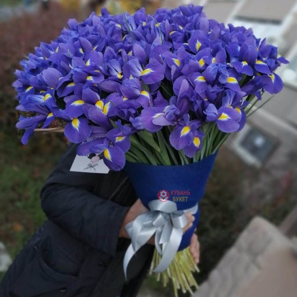 Букет 101 ирис заказать за 13 730 руб. с доставкой